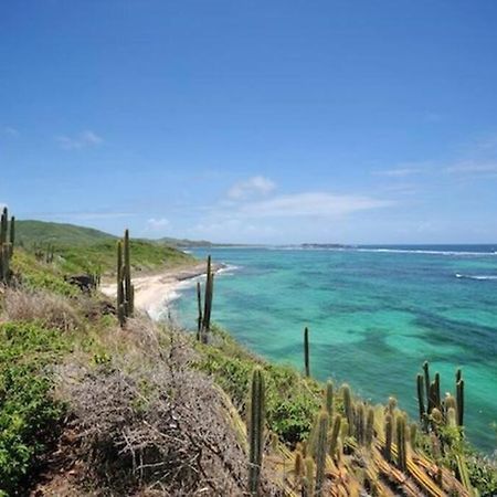 Hamo Tropical Piscine Proche Plage Appartement Sainte-Anne Buitenkant foto