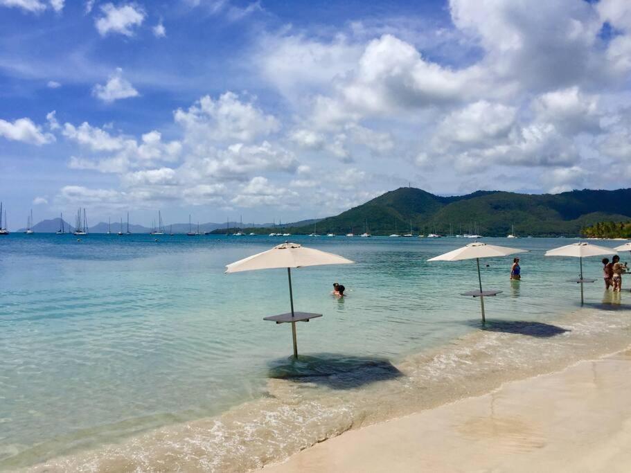 Hamo Tropical Piscine Proche Plage Appartement Sainte-Anne Buitenkant foto