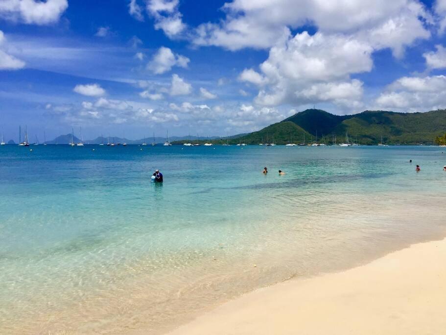 Hamo Tropical Piscine Proche Plage Appartement Sainte-Anne Buitenkant foto