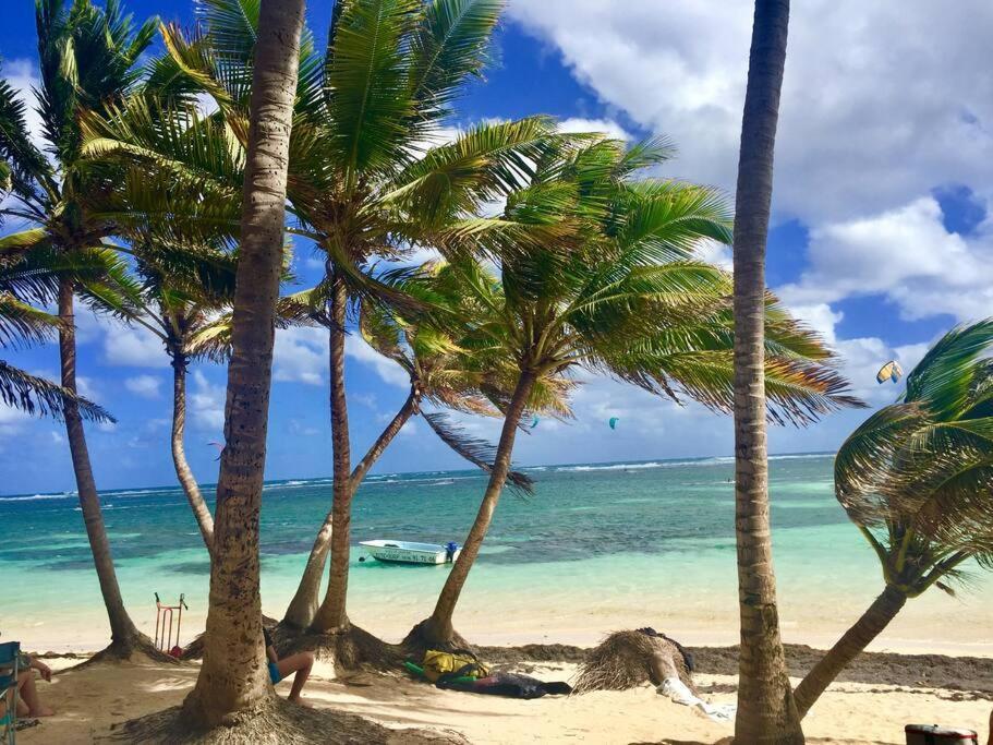 Hamo Tropical Piscine Proche Plage Appartement Sainte-Anne Buitenkant foto