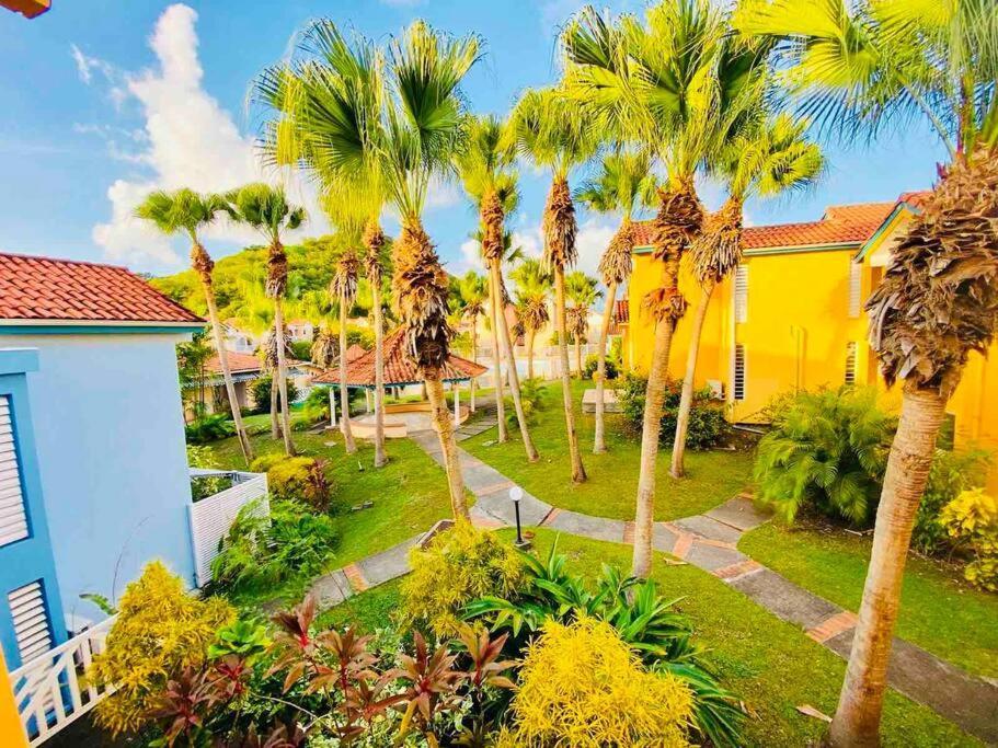 Hamo Tropical Piscine Proche Plage Appartement Sainte-Anne Buitenkant foto