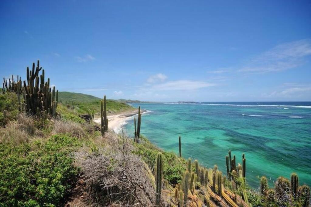 Hamo Tropical Piscine Proche Plage Appartement Sainte-Anne Buitenkant foto