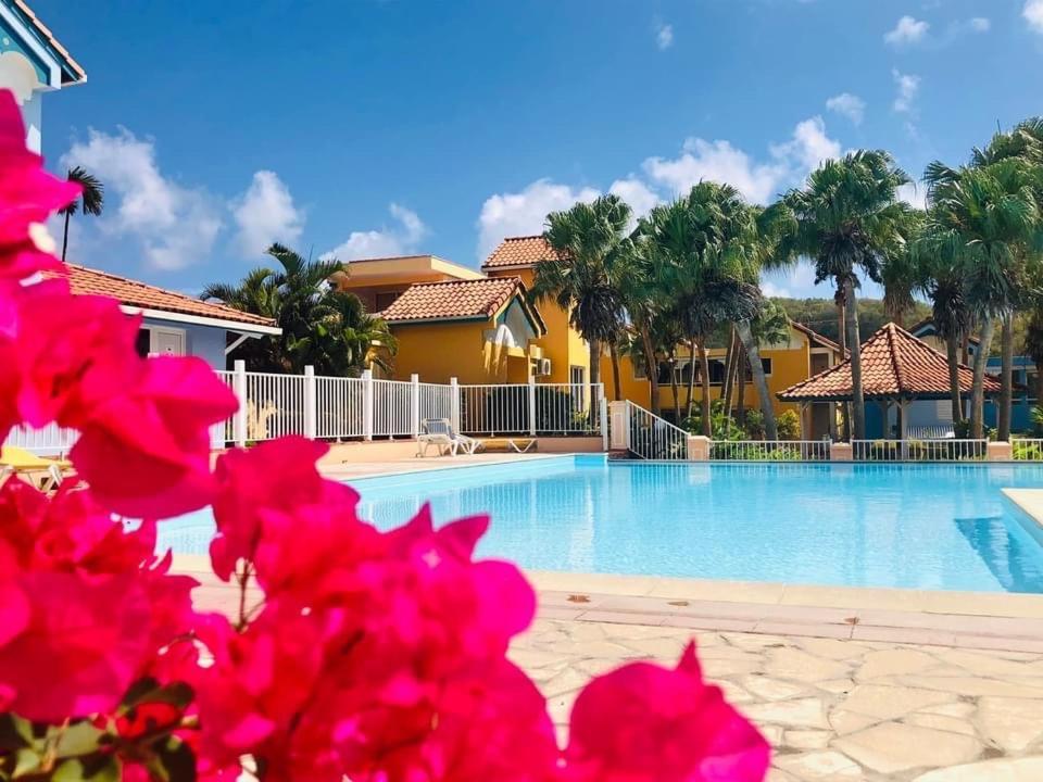 Hamo Tropical Piscine Proche Plage Appartement Sainte-Anne Buitenkant foto
